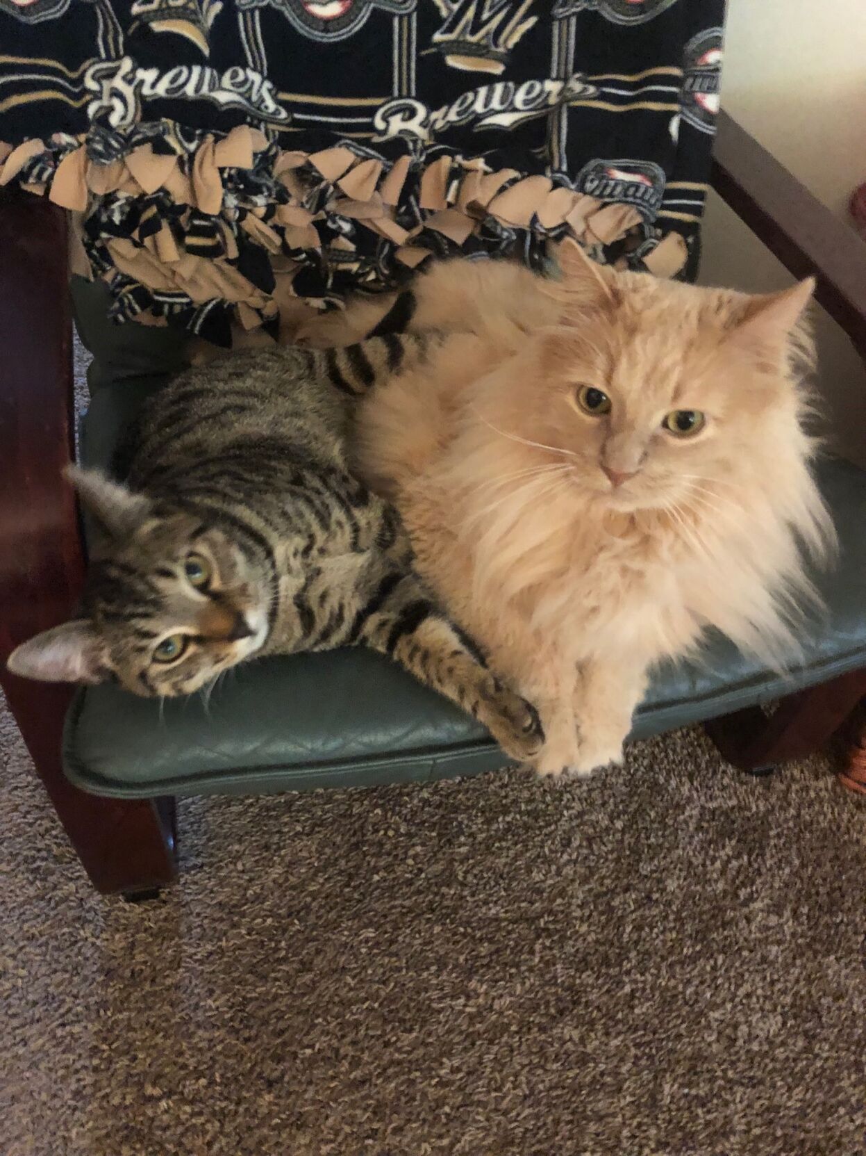 Isabelle and her big brother.